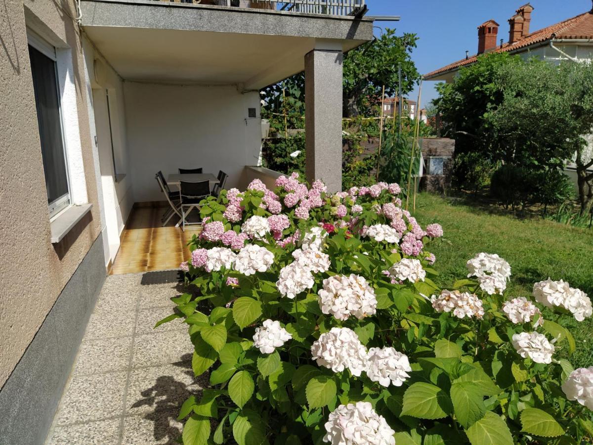 Apartments Buket Jagodje Extérieur photo